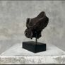 Gorilla Skull - Bronze Image 7