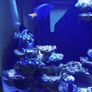 Fish tank Image 7