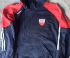 Treaty United hoodie