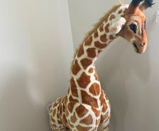 giraffe soft toy