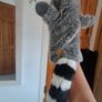 Hand Puppet Image 2