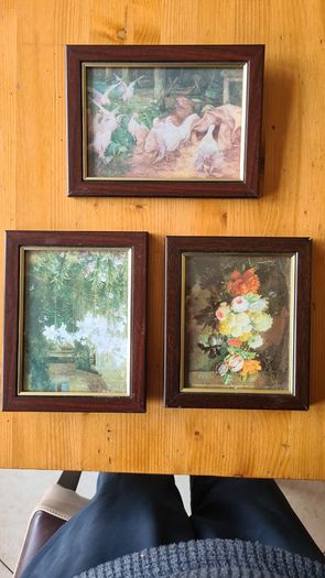 3 X Framed Picture.