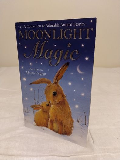 Moonlight Magic, Story Book