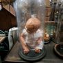 Antique Large Bell Jar Image 2