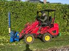 hedge cutting Image 2