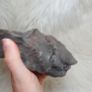 large black chalcedony specimen Image 3