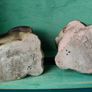 2 x Vintage Chalk Dog Ornaments Image 5