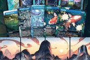 Magic The Gathering Dandan secret lair