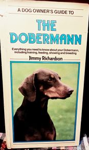 1989. A Dog Owners Guide To The Doberman.