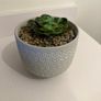 Fake plant and pot Image 8