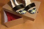 Christian louboutin shoes
