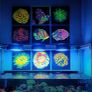 UV Blacklight Coral Reef Wall Art Painting Image 3