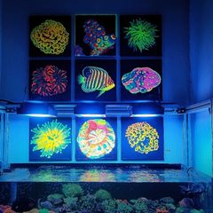 UV Blacklight Coral Reef Wall Art Painting