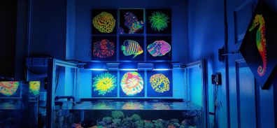 UV Blacklight Coral Reef Wall Art Painting