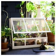 indoor greenhouse