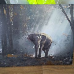 Large Elephant Canvas