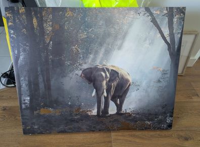 Large Elephant Canvas