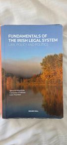 Fundamentals of the Irish Legal System