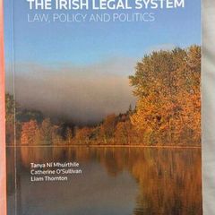Fundamentals of the Irish Legal System