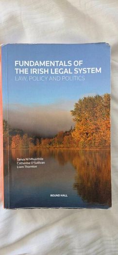 Fundamentals of the Irish Legal System
