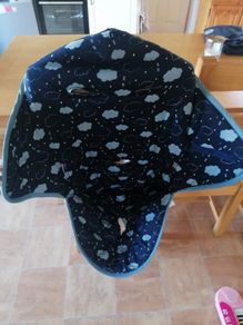 Buggy Insert