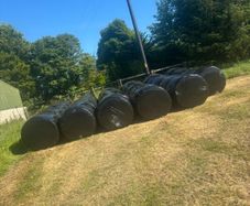 Silage bales