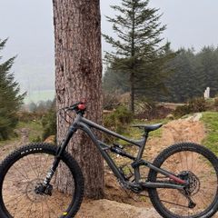 Specialized Status / Enduro MTB for sale