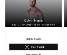 calvin harris Marley park