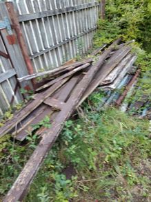 Free Timber