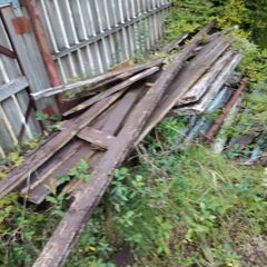 Free Timber