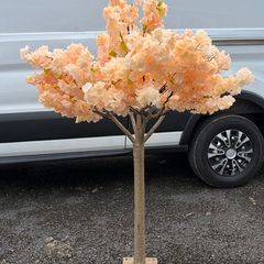 Peach Cherry Blossom Trees