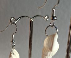 Mini Conch Spiral Shell Earrings