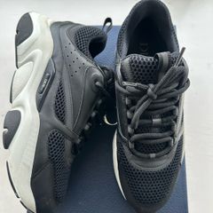 Dior B22
