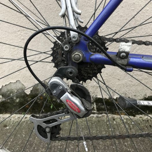 Raleigh Pioneer Bike