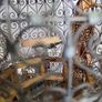 Vintage bird cage Image 8
