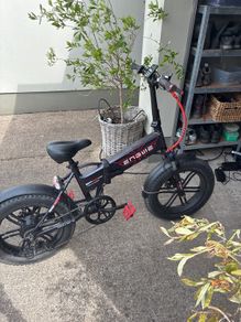 e bike