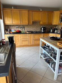 Maple Shaker Doors
