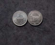 Ireland Millennium and Stag One Pound Coins - 2000, Circulated