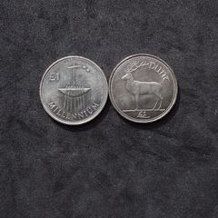 Ireland Millennium and Stag One Pound Coins - 2000, Circulated