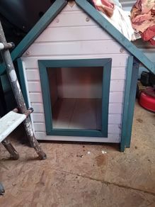 Dog House
