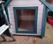Dog House