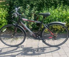 Adult bicycle