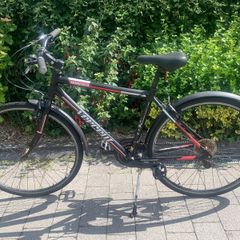 Adult bicycle