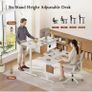 120 x 60 cm Sit-Stand Desk with 2 Memory Buttons Image 2