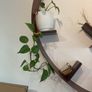 plants Image 2
