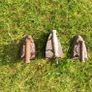 Cast Iron Irons Image 2