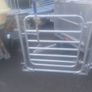 Farm gates Image 6