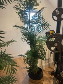 artificial  plants