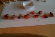 carnelian