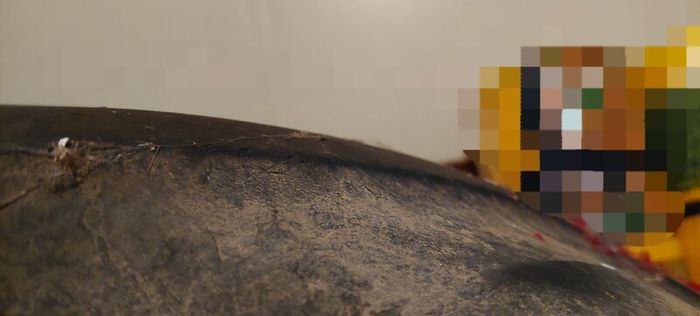 Jcb loader tyres